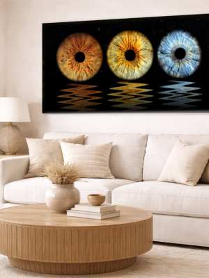 3 irisuri – Iris Family – Compozitie de Familie
