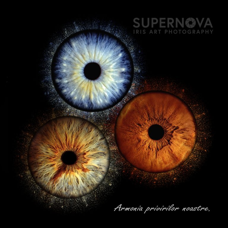 Fotografie iris familie Supernova Iris Art